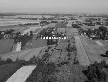 Zdjęcie 14636601