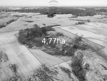 Zdjęcie 14636859