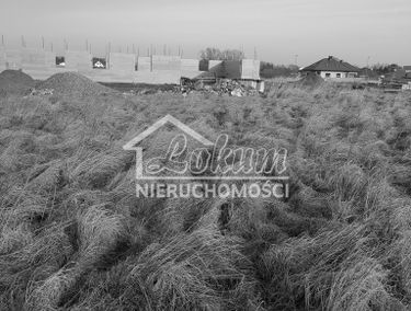 Zdjęcie 14636965