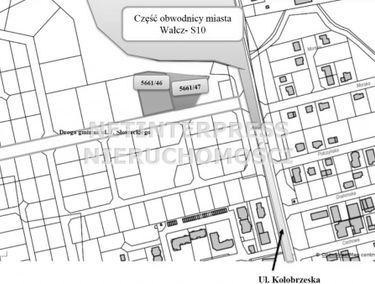 Zdjęcie 14637491