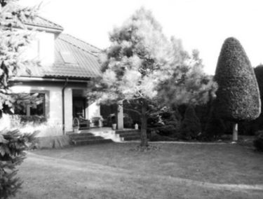 Zdjęcie 14638334