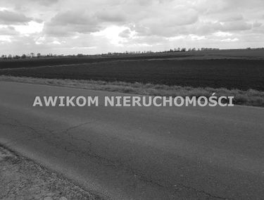 Zdjęcie 14638639