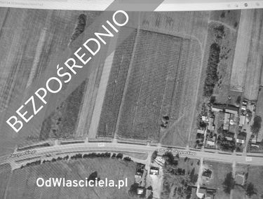 Zdjęcie 14639344