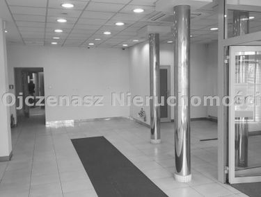 Zdjęcie 14641025
