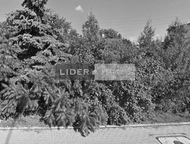 Zdjęcie 14641757