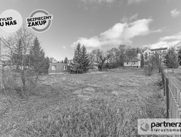 Zdjęcie 14641956