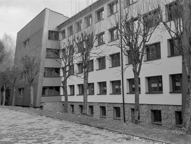 Zdjęcie 14642453