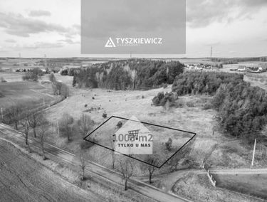 Zdjęcie 14642597