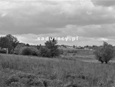 Zdjęcie 14642765