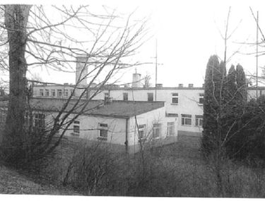Zdjęcie 14643412