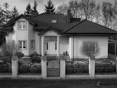 Zdjęcie 14643734