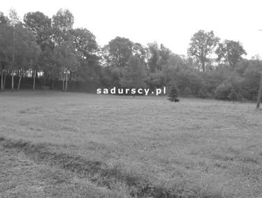 Zdjęcie 14643952
