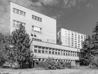 Zdjęcie 14644780