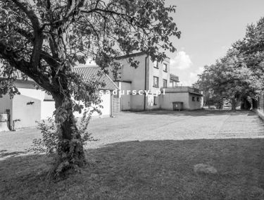 Zdjęcie 14645112