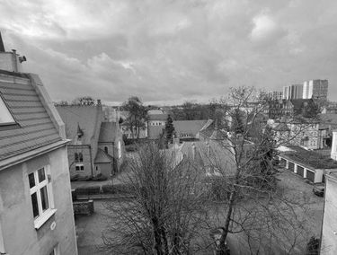 Zdjęcie 14646494