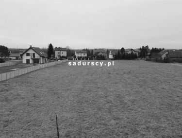 Zdjęcie 14650219