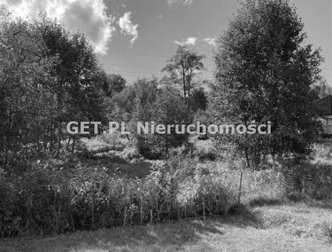 Zdjęcie 14650939
