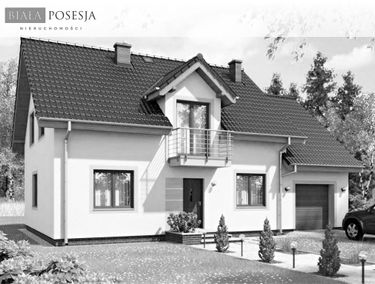 Zdjęcie 14651704
