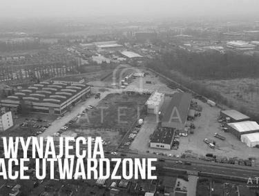 Zdjęcie 14655067