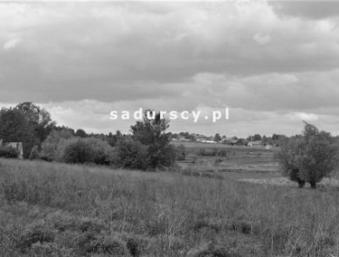 Zdjęcie 14655687
