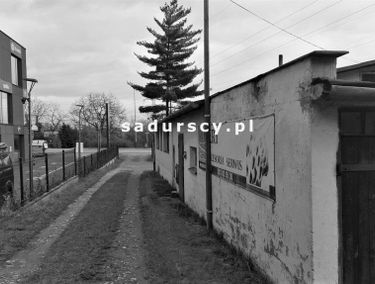 Zdjęcie 14655695