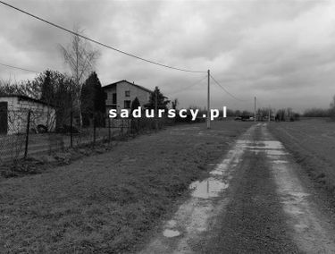 Zdjęcie 14655720