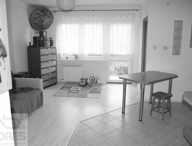 Zdjęcie 14656195
