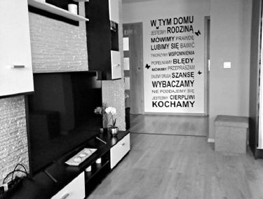 Zdjęcie 14659470
