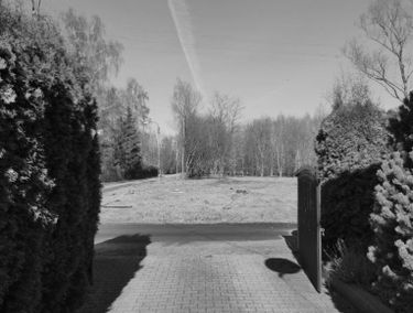 Zdjęcie 14660253