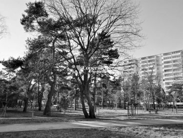 Zdjęcie 14661444