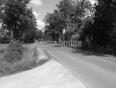 Zdjęcie 14662092