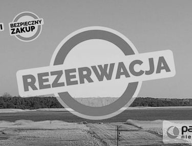 Zdjęcie 14662298