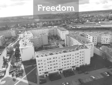 Zdjęcie 14662528