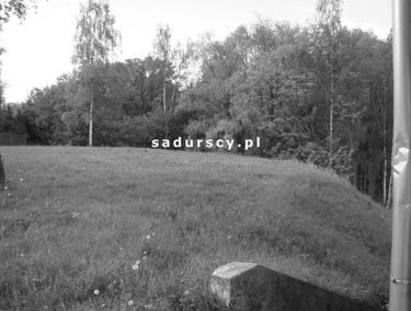 Zdjęcie 14662743
