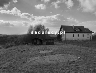 Zdjęcie 14662772