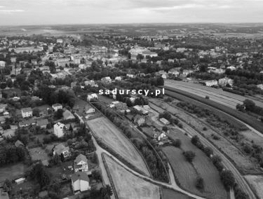 Zdjęcie 14662832