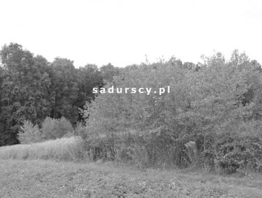 Zdjęcie 14663717