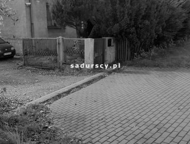 Zdjęcie 14663813