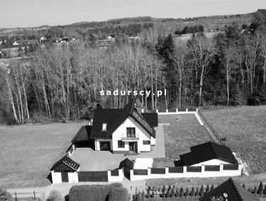 Zdjęcie 14664256