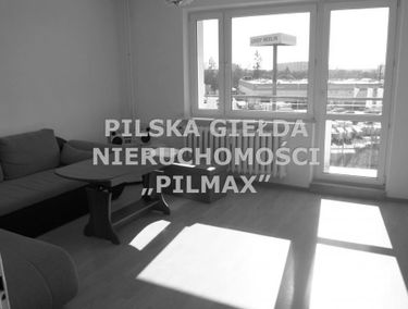 Zdjęcie 14669848