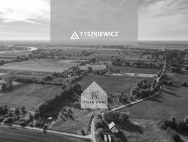 Zdjęcie 14669920