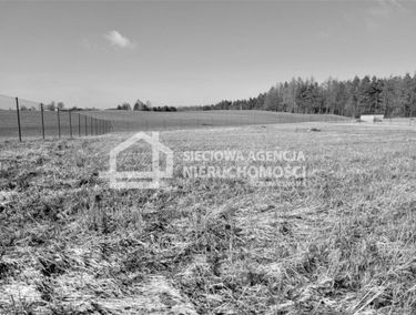 Zdjęcie 14670193