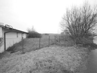 Zdjęcie 14670891