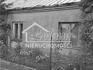 Zdjęcie 14671830