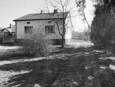 Zdjęcie 14672287