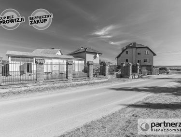 Zdjęcie 14672348
