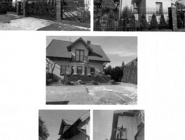 Zdjęcie 14673494