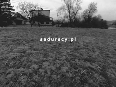 Zdjęcie 14674073