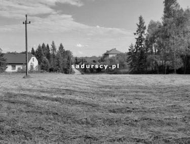 Zdjęcie 14674143