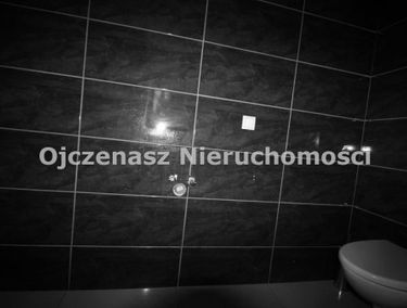 Zdjęcie 14674386
